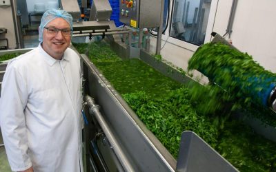 Groentebedrijf Greens & Salads gaat verdrievoudigen. Het geheim: inkopen bij lokale boeren
